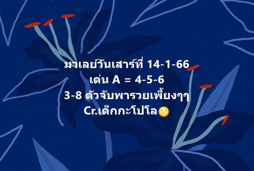 แนวทางหวยมาเลย์ 14/1/66 ชุดที่ 11