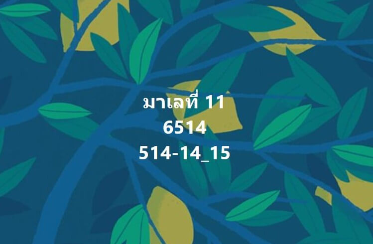 แนวทางหวยมาเลย์ 11/2/66 ชุดที่ 9