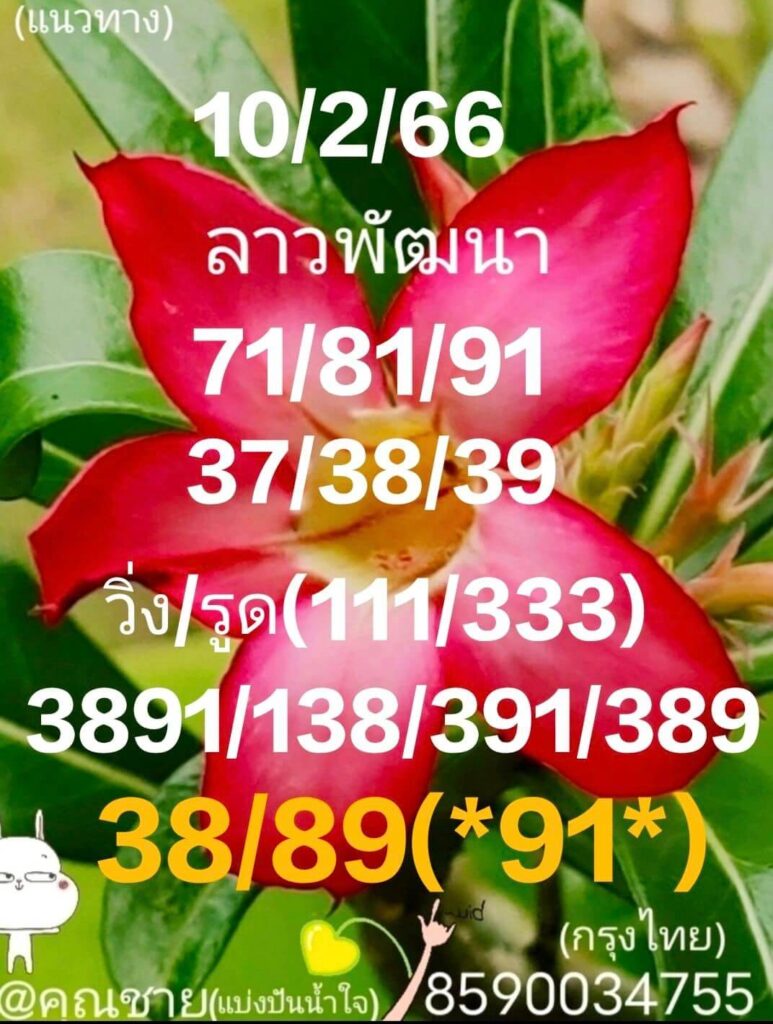 แนวทางหวยลาว 10/2/66 ชุดที่ 9