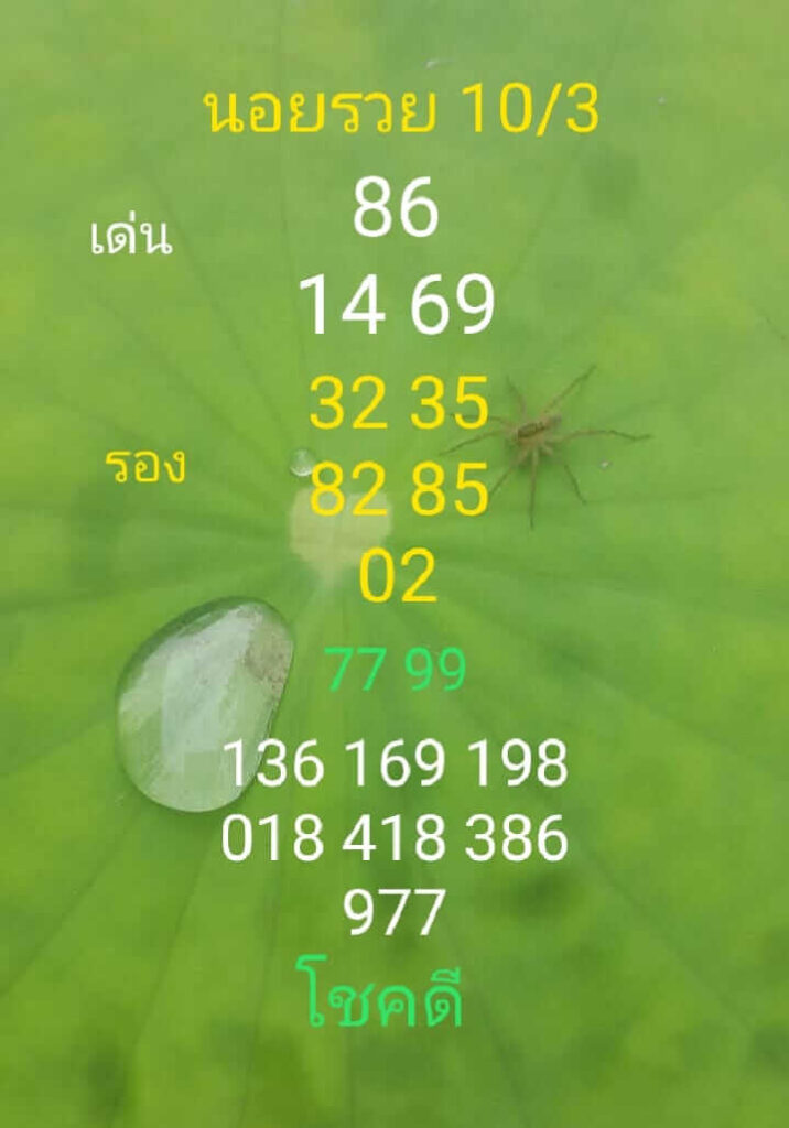 แนวทางหวยฮานอย 10/3/66 ชุดที่ 5