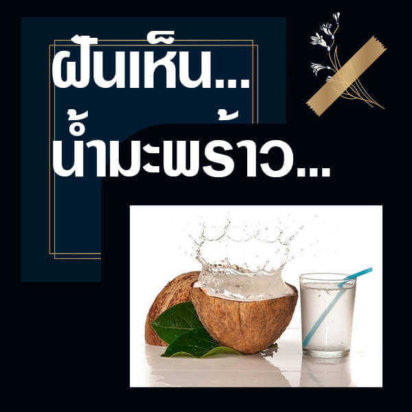 ทำนายฝันเห็นน้ำมะพร้าว