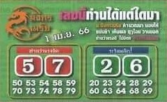 หวยมังกรเมรัย 1/4/66