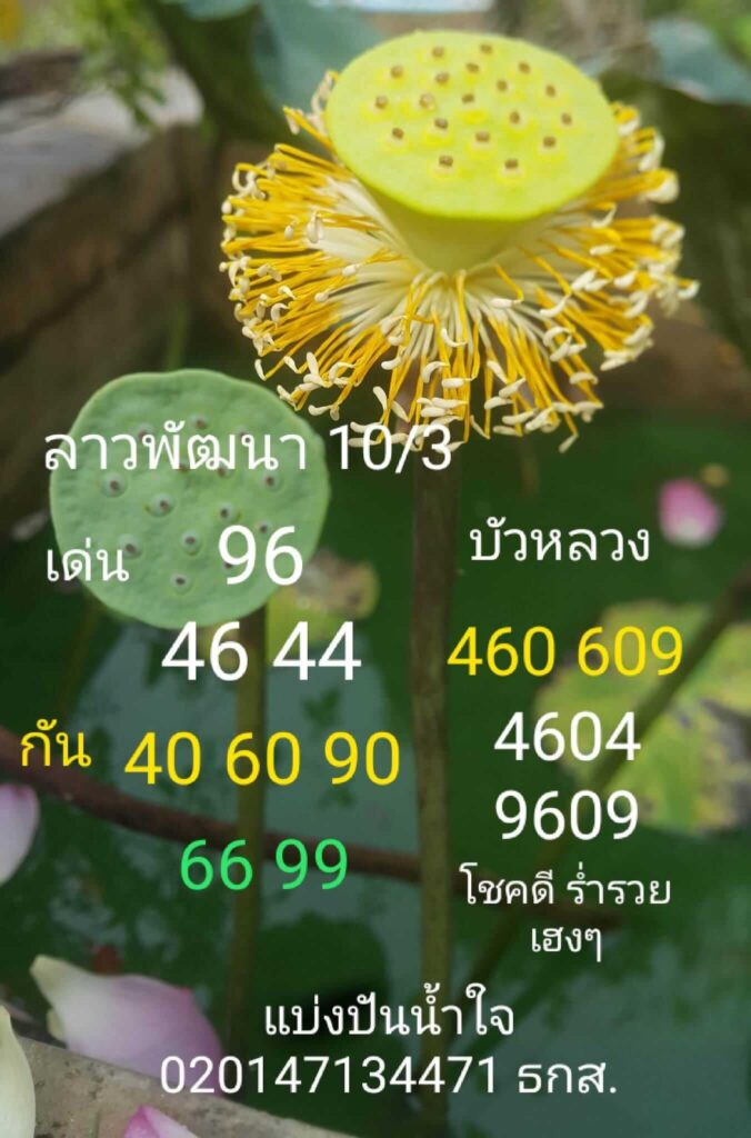 แนวทางหวยลาว 10/3/66 ชุดที่ 2