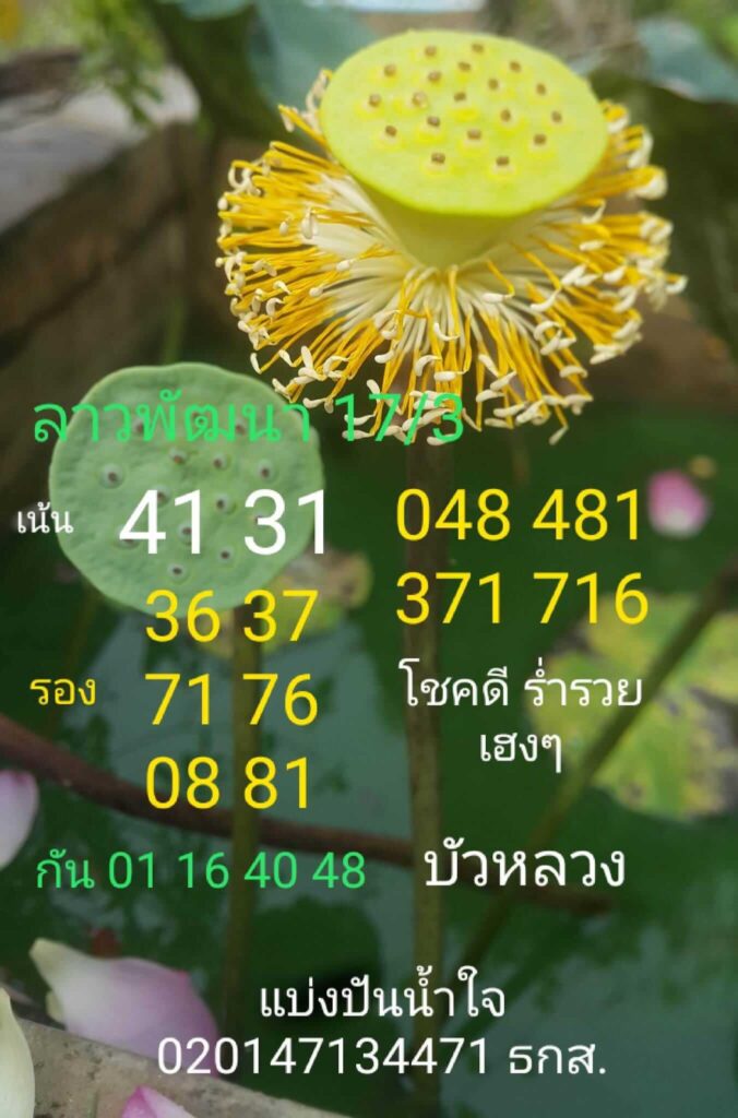 แนวทางหวยลาว 17/3/66 ชุดที่ 14