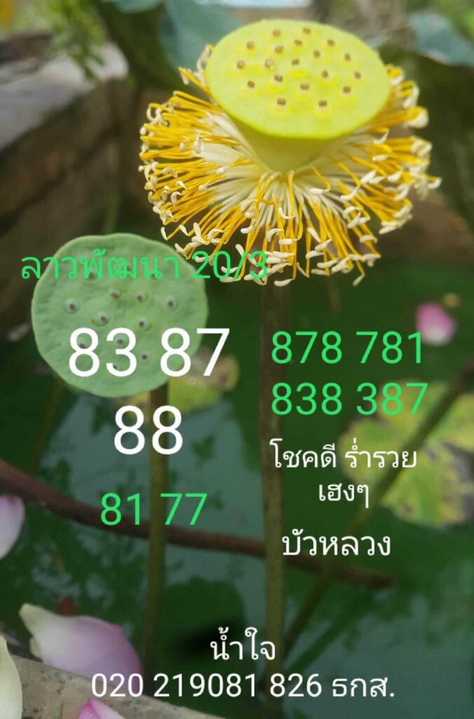 แนวทางหวยลาว 20/3/66 ชุดที่ 13