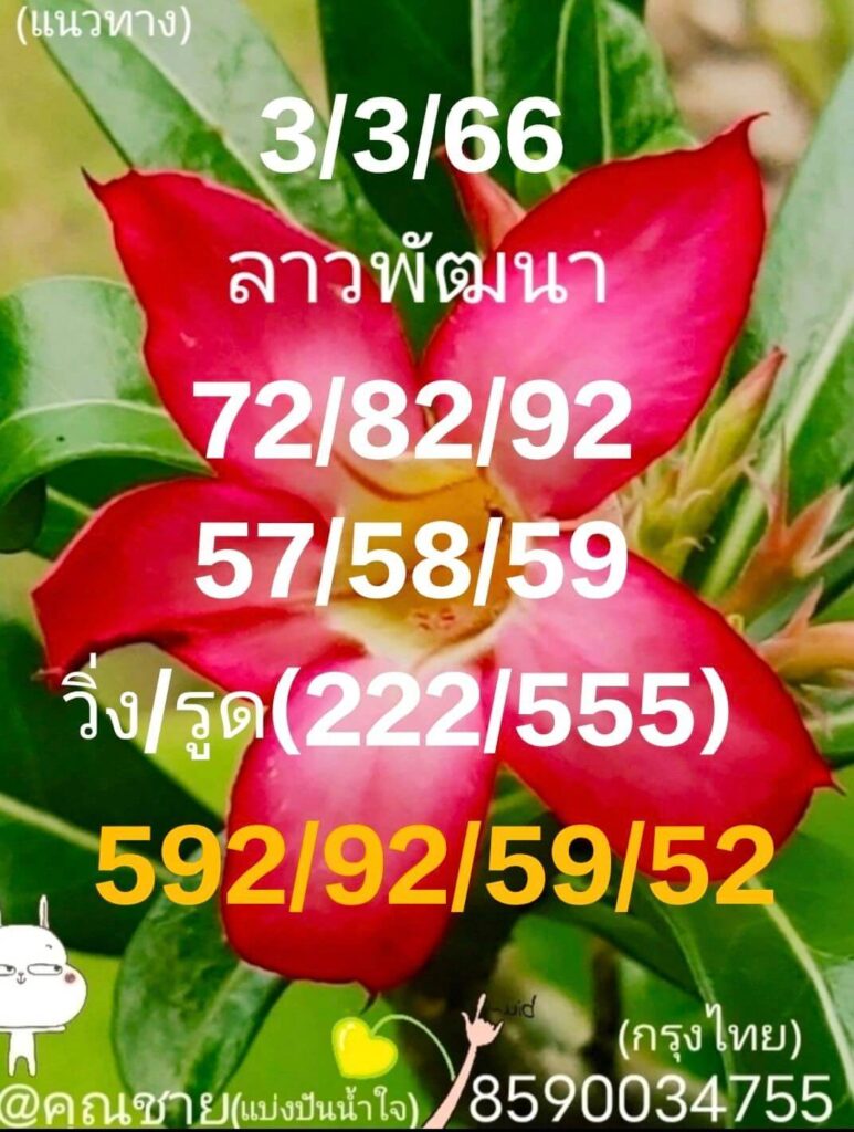 แนวทางหวยลาว 3/3/66 ชุดที่ 7