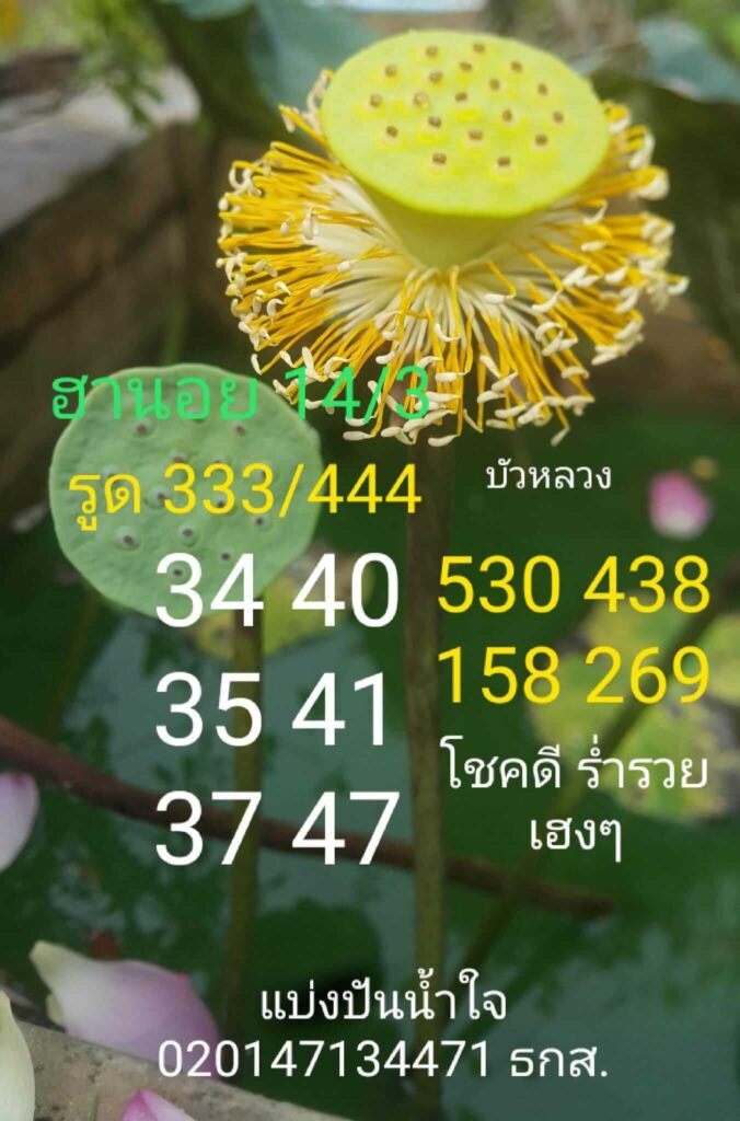 แนวทางหวยฮานอย 14/3/66 ชุดที่ 11