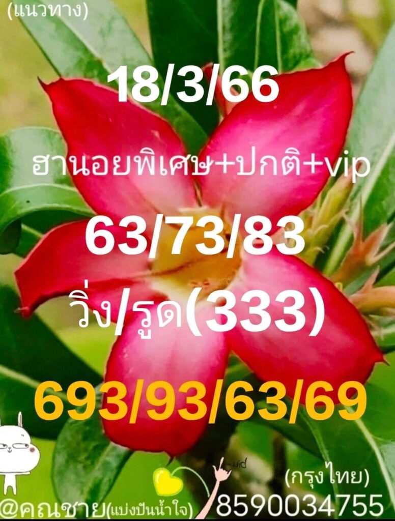 แนวทางหวยฮานอย 18/3/66 ชุดที่ 11