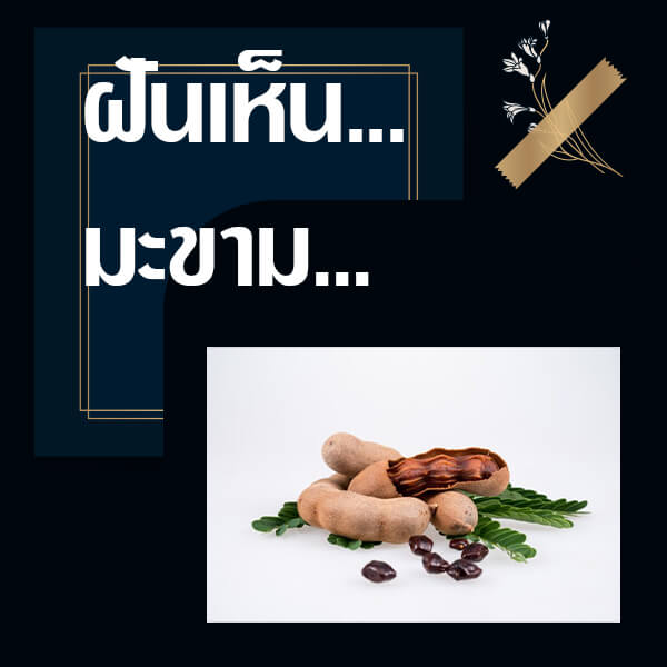 ทำนายฝันเห็นมะขาม