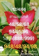 แนวทางหวยฮานอย 12/4/66 ชุดที่ 7