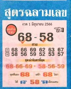 หวยสูตรฉลามเลข 1/6/66