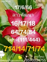 แนวทางหวยลาว 17/5/66 ชุดที่ 1