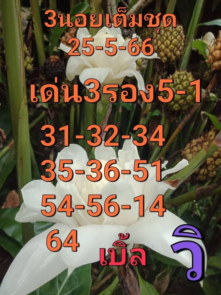 แนวทางหวยฮานอย 25/5/66 ชุดที่ 2