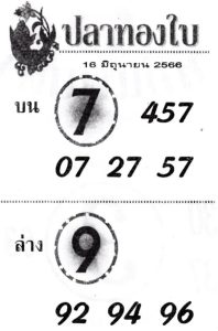 หวยปลาทองใบ 16/6/66