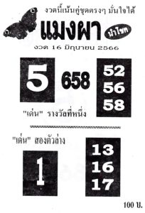 หวยแมงผา 16/6/66