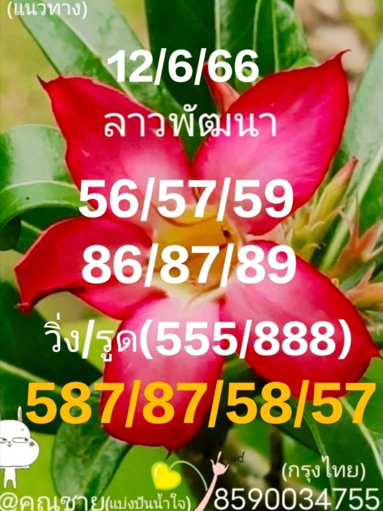 แนวทางหวยลาว 12/6/66 ชุดที่ 7