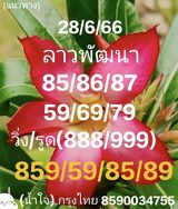 แนวทางหวยลาว 28/6/66 ชุดที่ 1