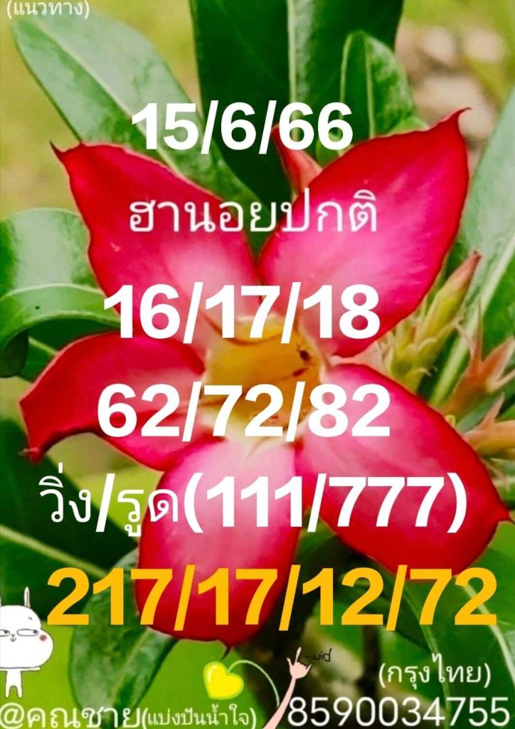 แนวทางหวยฮานอย 15/6/66 ชุดที่ 11