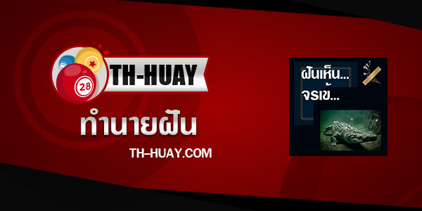 ปกทํานายฝันเห็นจระเข้