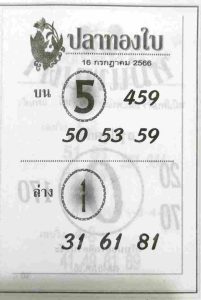 หวยปลาทองใบ 16/7/66