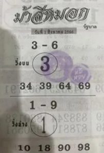 หวยม้าสีหมอก 31/7/66