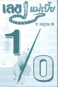 เลขแม่เบี้ย 31/7/66