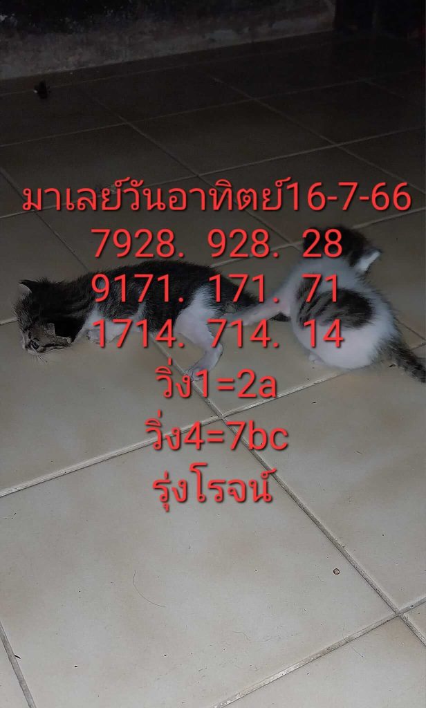 แนวทางหวยมาเลย์ 16/7/66 ชุดที่ 5