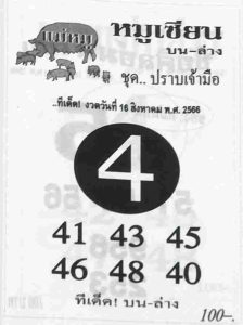 หวยหมูเซียน 16/8/66