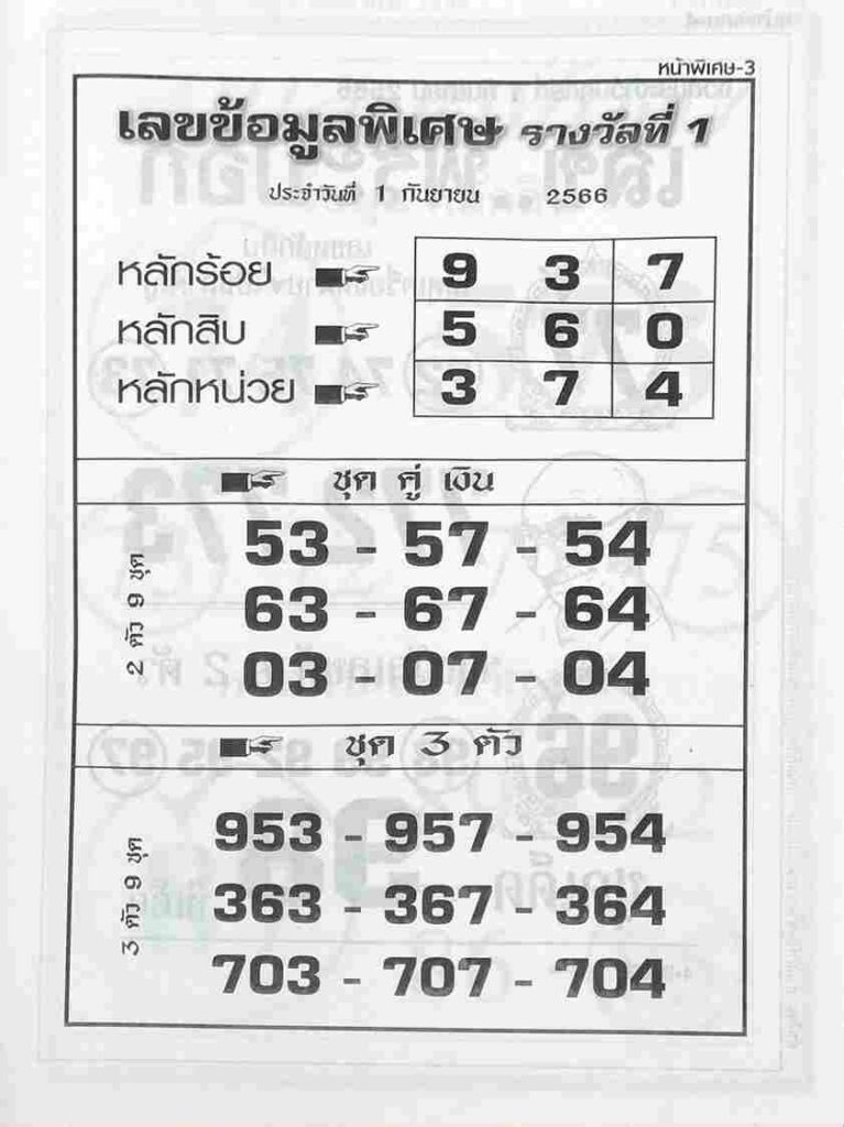 เลขข้อมูลพิเศษ 1/9/66