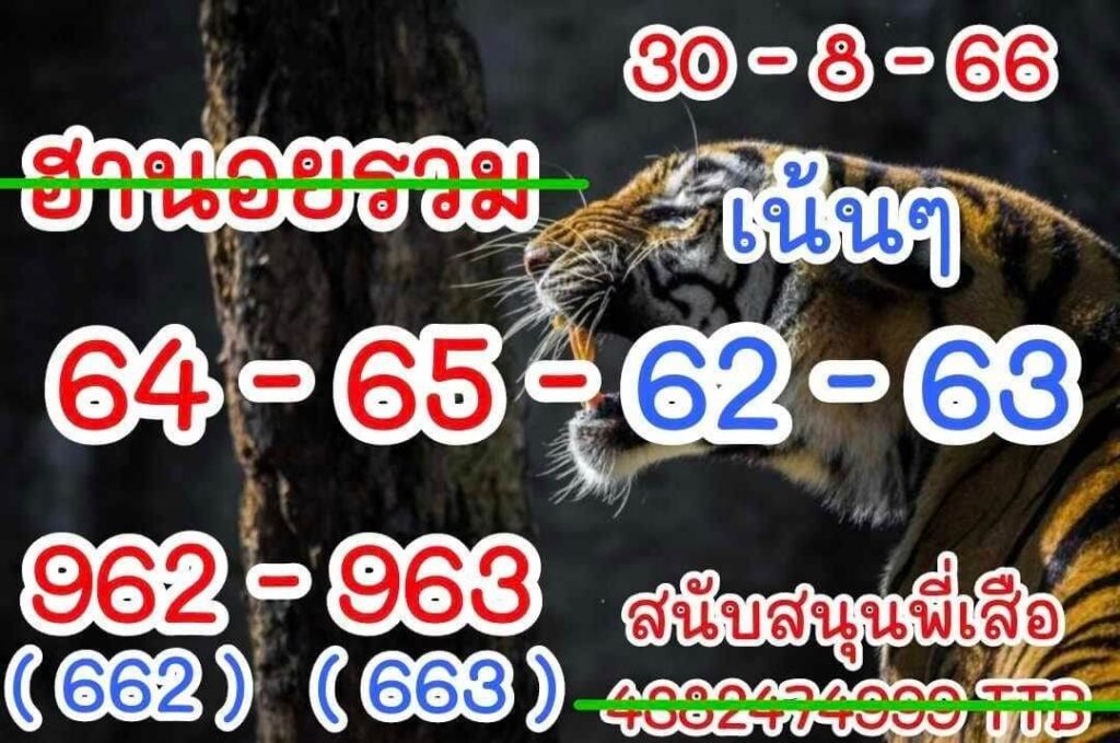 แนวทางหวยฮานอย 30/8/66 ชุดที่ 4