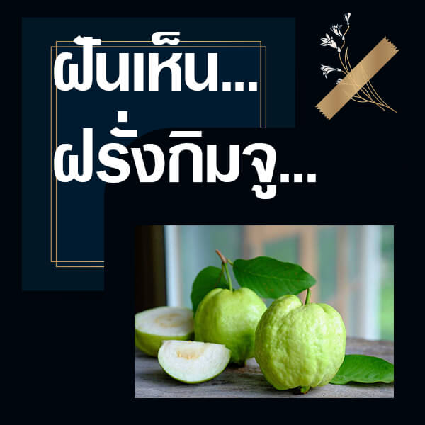 ทำนายฝันเห็นฝรั่งกิมจู