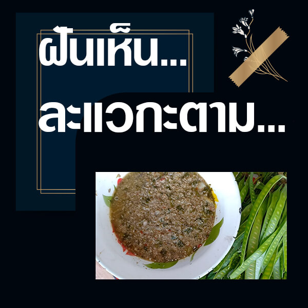 ทำนายฝันเห็นละแวกะตาม