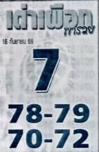 หวยเต่าเผือก 16/9/66