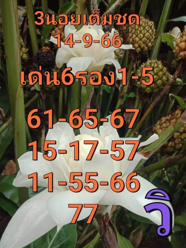 แนวทางหวยฮานอย 14/9/66 ชุดที่ 7