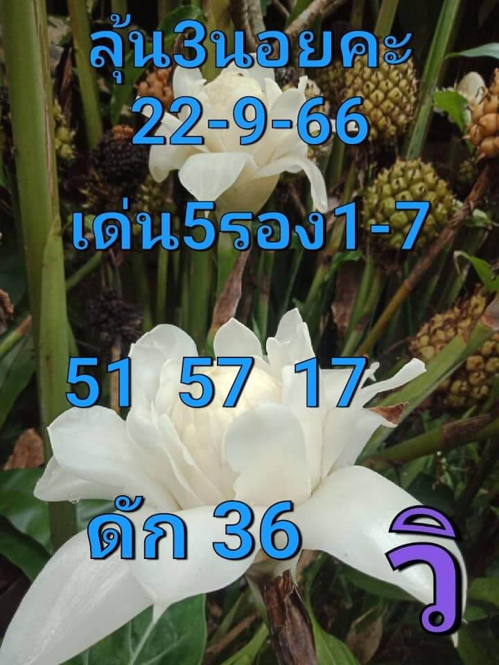 แนวทางหวยฮานอย 22/9/66 ชุดที่ 7