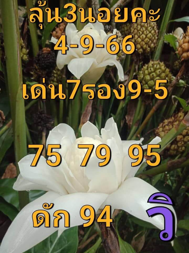 แนวทางหวยฮานอย 4/9/66 ชุดที่ 5