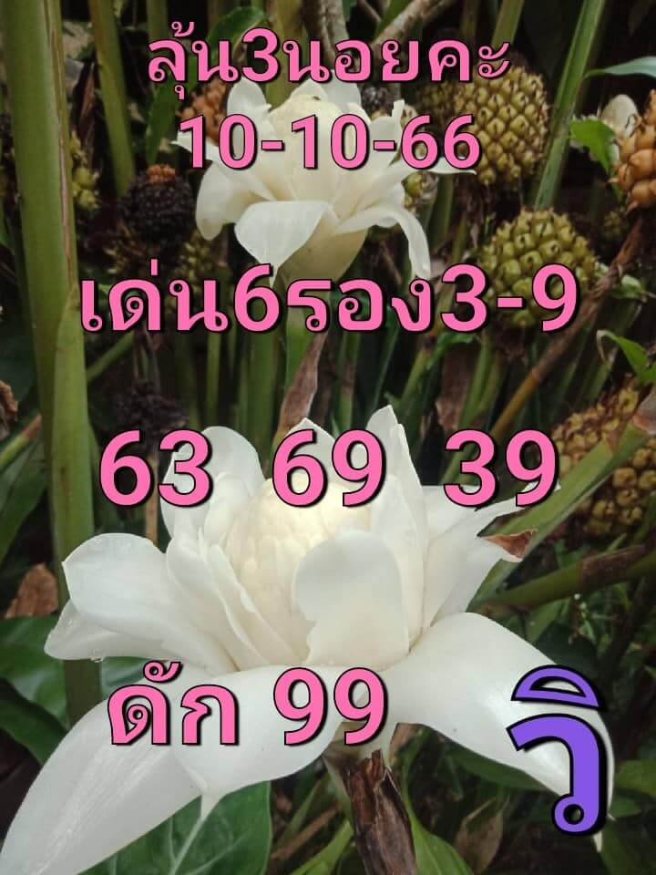 แนวทางหวยฮานอย 10/10/66 ชุดที่ 9