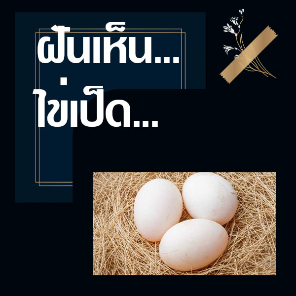 ทำนายฝันเห็นไข่เป็ด