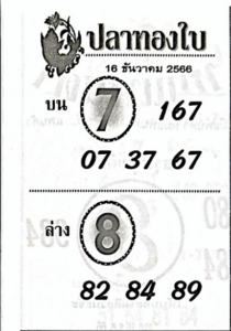 หวยปลาทองใบ 16-12-66