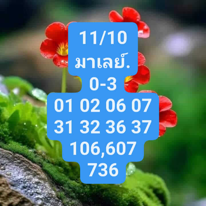 แนวทางหวยมาเลย์ 11/10/66 ชุดที่ 8