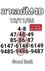 แนวทางหวยมาเลย์ 12/11/66 ชุดที่ 11