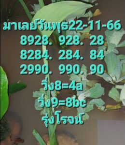 แนวทางหวยมาเลย์ 22/11/66 ชุดที่ 1