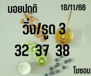 แนวทางหวยฮานอย 18/11/66 ชุดที่ 11