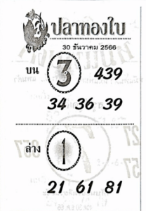 หวยปลาทองใบ 30-12-66