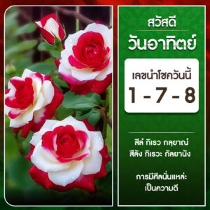 หวยฮานอย 24-12-66 ชุด9