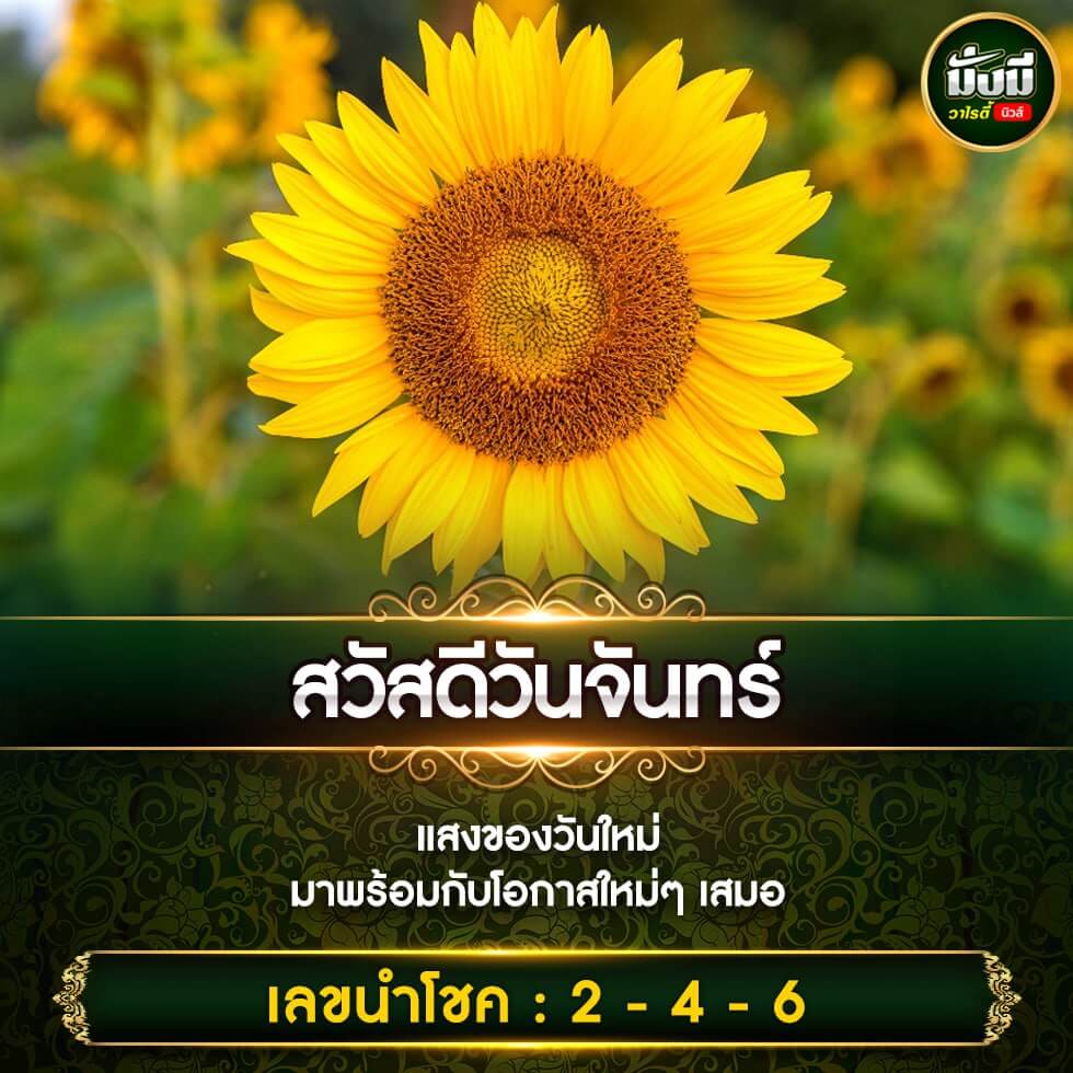 หวยฮานอย 8-1-67 ชุด9