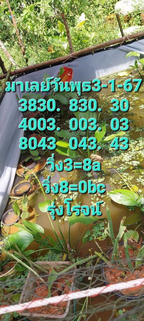 หวยมาเลย์ 3-1-67 ชุด 4