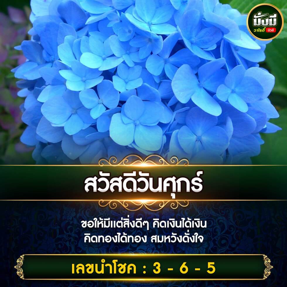 หวยฮานอย 12-1-67 ชุด9