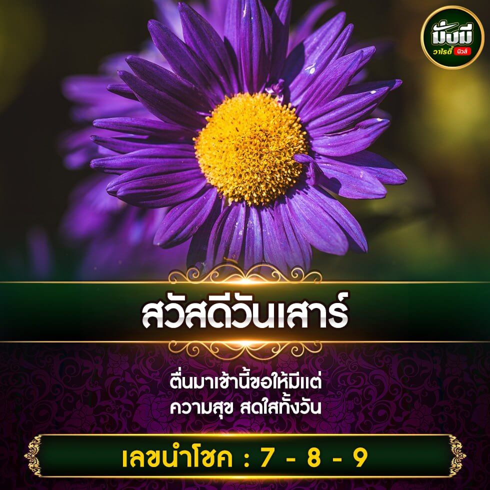 หวยฮานอย 13-1-67 ชุด6