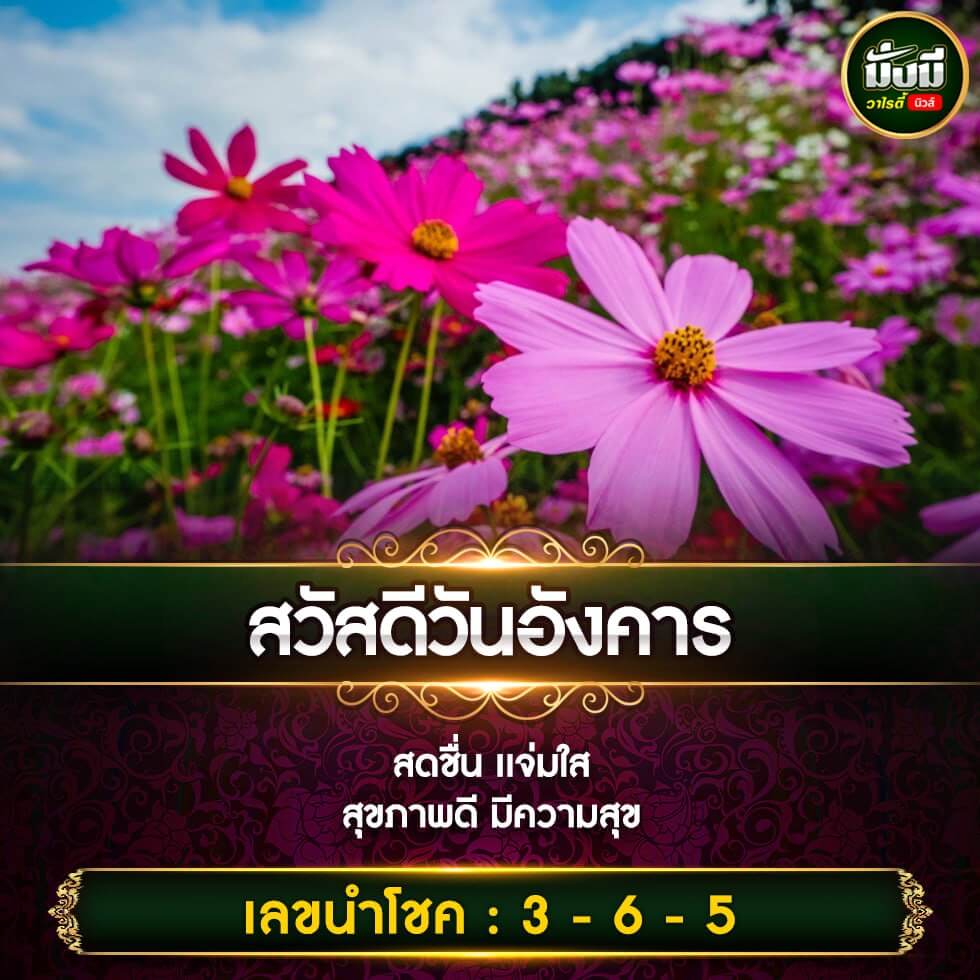 หวยฮานอย 9-1-67 ชุด10